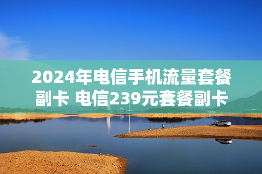 2024年电信手机流量套餐副卡 电信239元套餐副卡