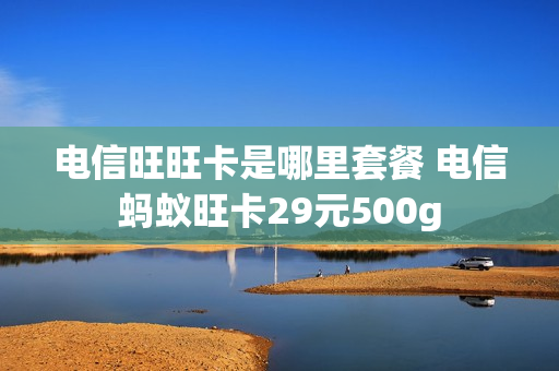 电信旺旺卡是哪里套餐 电信蚂蚁旺卡29元500g
