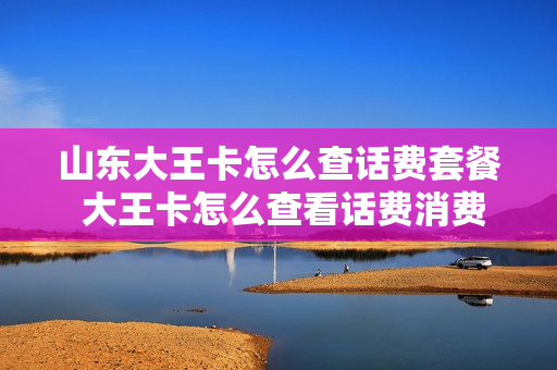 山东大王卡怎么查话费套餐 大王卡怎么查看话费消费明细