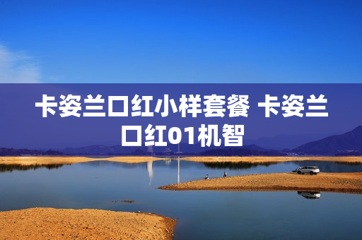 卡姿兰口红小样套餐 卡姿兰口红01机智