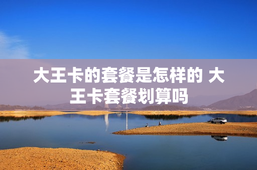 大王卡的套餐是怎样的 大王卡套餐划算吗