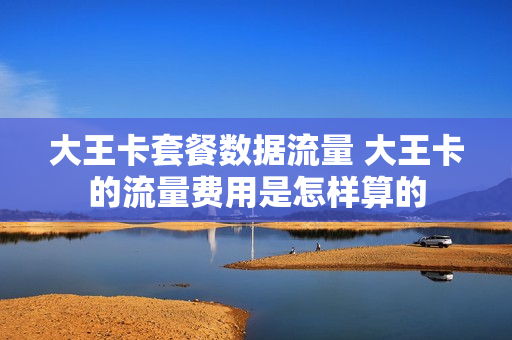 大王卡套餐数据流量 大王卡的流量费用是怎样算的