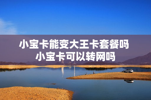 小宝卡能变大王卡套餐吗 小宝卡可以转网吗
