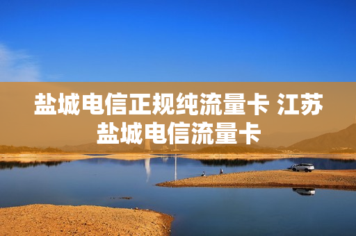 盐城电信正规纯流量卡 江苏盐城电信流量卡