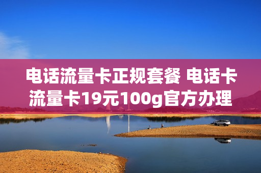 电话流量卡正规套餐 电话卡流量卡19元100g官方办理