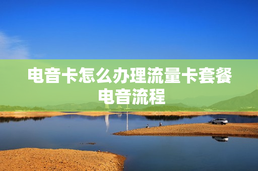 电音卡怎么办理流量卡套餐 电音流程