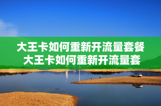 大王卡如何重新开流量套餐 大王卡如何重新开流量套餐业务