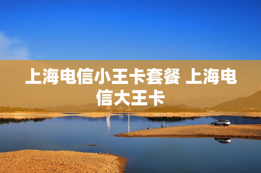 上海电信小王卡套餐 上海电信大王卡