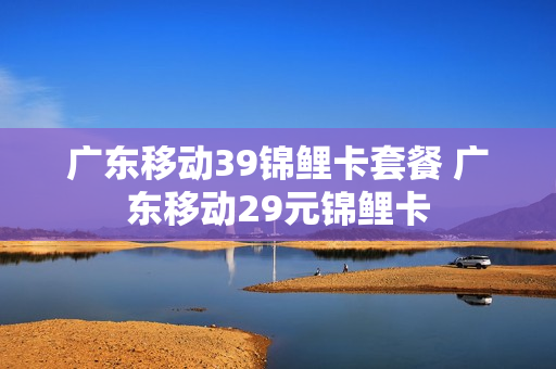 广东移动39锦鲤卡套餐 广东移动29元锦鲤卡