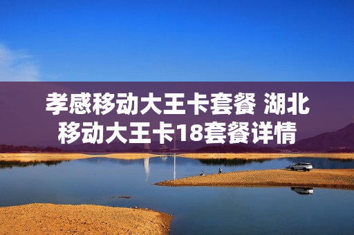 孝感移动大王卡套餐 湖北移动大王卡18套餐详情
