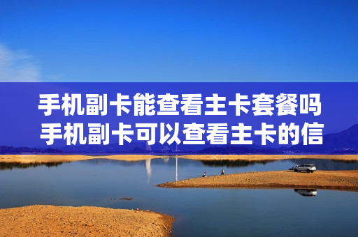 手机副卡能查看主卡套餐吗 手机副卡可以查看主卡的信息吗