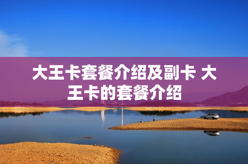 大王卡套餐介绍及副卡 大王卡的套餐介绍