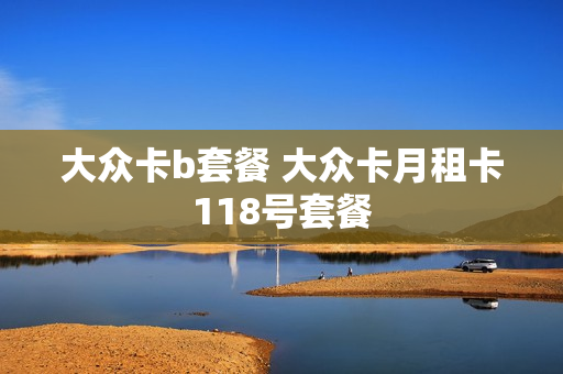 大众卡b套餐 大众卡月租卡118号套餐