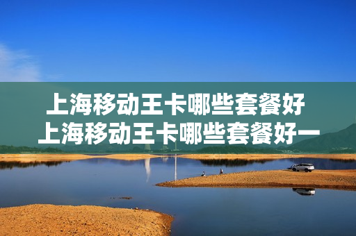 上海移动王卡哪些套餐好 上海移动王卡哪些套餐好一点