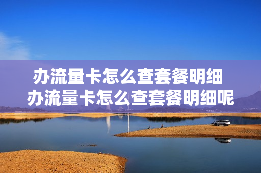 办流量卡怎么查套餐明细 办流量卡怎么查套餐明细呢