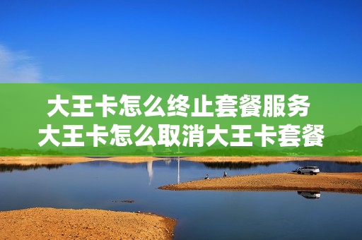 大王卡怎么终止套餐服务 大王卡怎么取消大王卡套餐