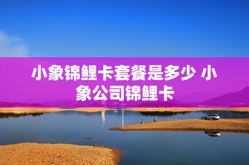 小象锦鲤卡套餐是多少 小象公司锦鲤卡