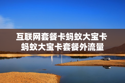 互联网套餐卡蚂蚁大宝卡 蚂蚁大宝卡套餐外流量