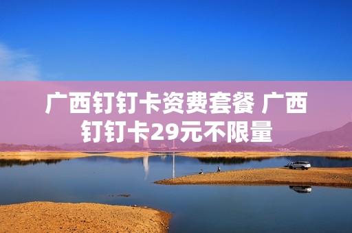 广西钉钉卡资费套餐 广西钉钉卡29元不限量