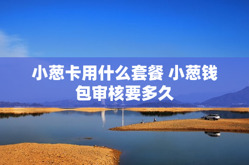 小葱卡用什么套餐 小葱钱包审核要多久