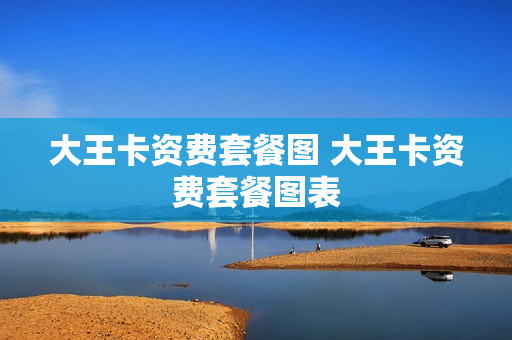 大王卡资费套餐图 大王卡资费套餐图表