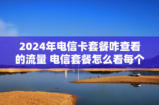 2024年电信卡套餐咋查看的流量 电信套餐怎么看每个号码的流量使用情况