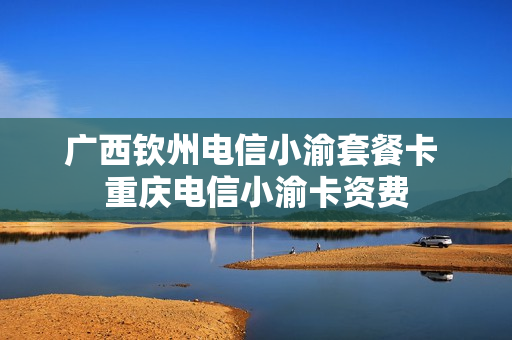 广西钦州电信小渝套餐卡 重庆电信小渝卡资费
