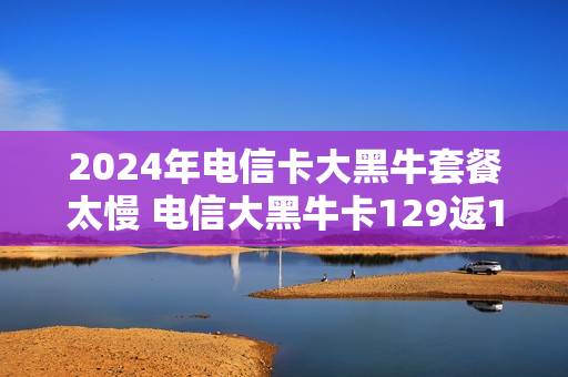 2024年电信卡大黑牛套餐太慢 电信大黑牛卡129返100
