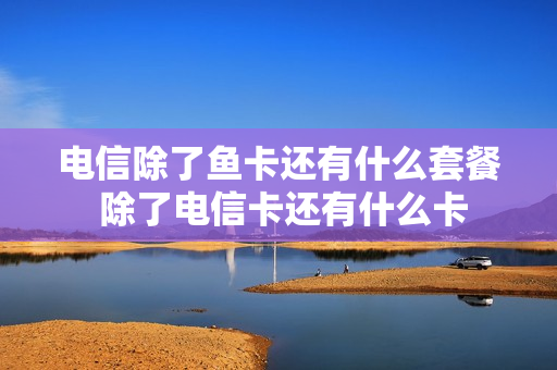 电信除了鱼卡还有什么套餐 除了电信卡还有什么卡