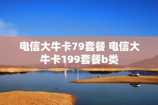 电信大牛卡79套餐 电信大牛卡199套餐b类