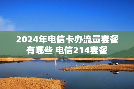 2024年电信卡办流量套餐有哪些 电信214套餐