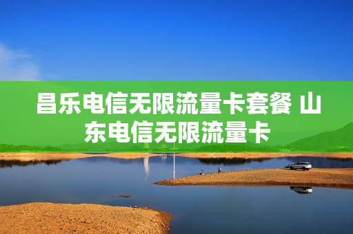 昌乐电信无限流量卡套餐 山东电信无限流量卡