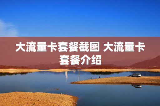 大流量卡套餐截图 大流量卡套餐介绍