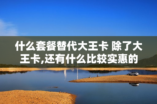 什么套餐替代大王卡 除了大王卡,还有什么比较实惠的卡