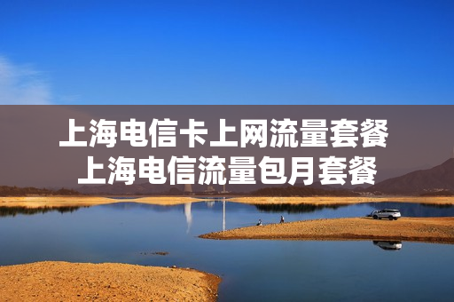 上海电信卡上网流量套餐 上海电信流量包月套餐
