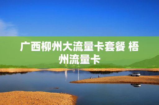 广西柳州大流量卡套餐 梧州流量卡