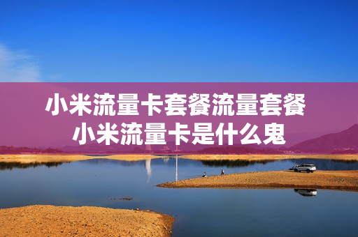 小米流量卡套餐流量套餐 小米流量卡是什么鬼