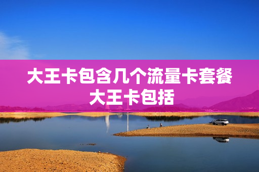 大王卡包含几个流量卡套餐 大王卡包括