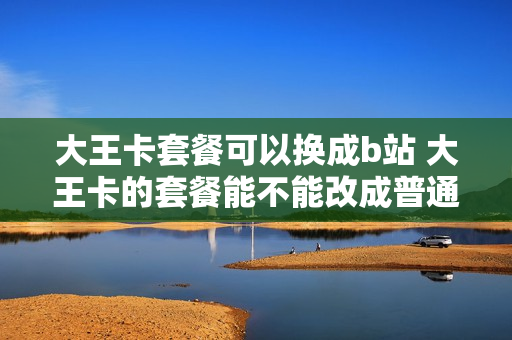 大王卡套餐可以换成b站 大王卡的套餐能不能改成普通套餐