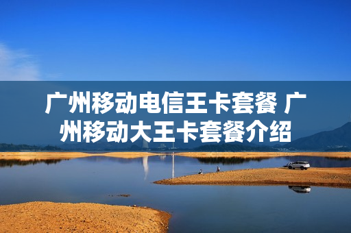 广州移动电信王卡套餐 广州移动大王卡套餐介绍