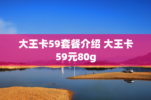 大王卡59套餐介绍 大王卡59元80g