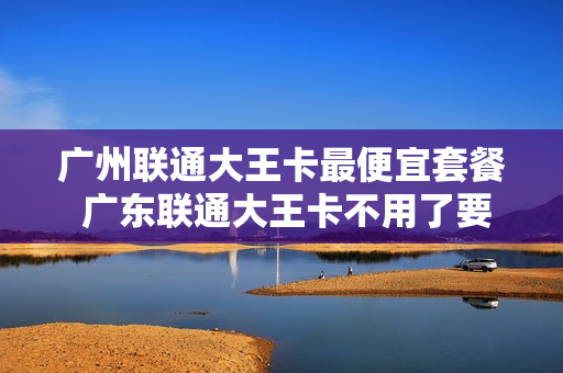广州联通大王卡最便宜套餐 广东联通大王卡不用了要注销吗