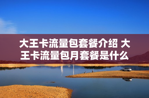 大王卡流量包套餐介绍 大王卡流量包月套餐是什么