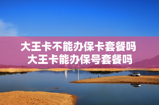 大王卡不能办保卡套餐吗 大王卡能办保号套餐吗