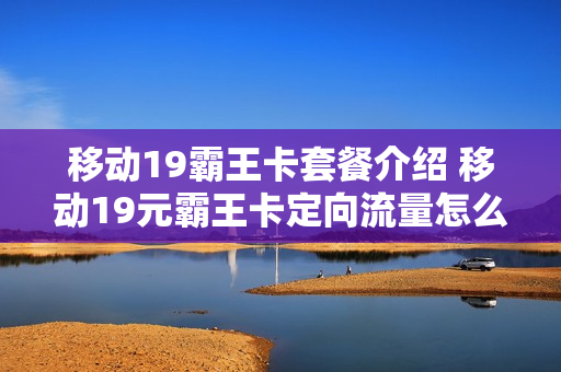 移动19霸王卡套餐介绍 移动19元霸王卡定向流量怎么用