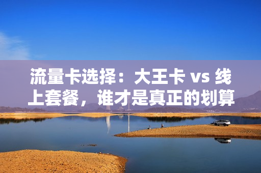 流量卡选择：大王卡 vs 线上套餐，谁才是真正的划算之选？