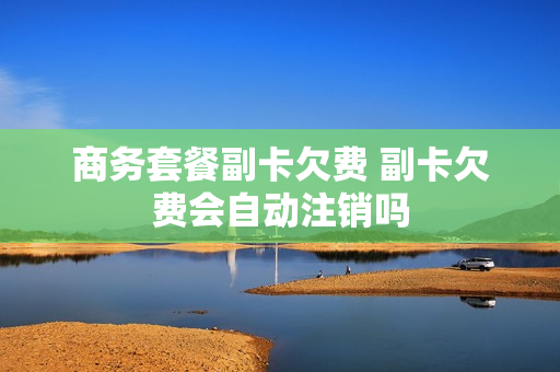 商务套餐副卡欠费 副卡欠费会自动注销吗