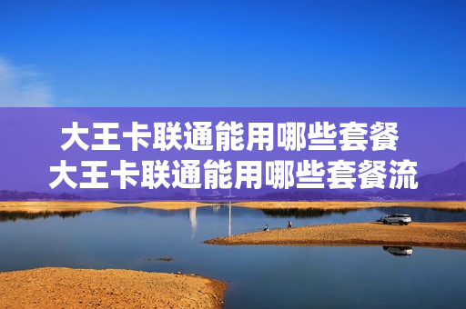 大王卡联通能用哪些套餐 大王卡联通能用哪些套餐流量