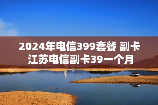 2024年电信399套餐 副卡 江苏电信副卡39一个月