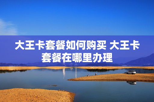 大王卡套餐如何购买 大王卡套餐在哪里办理